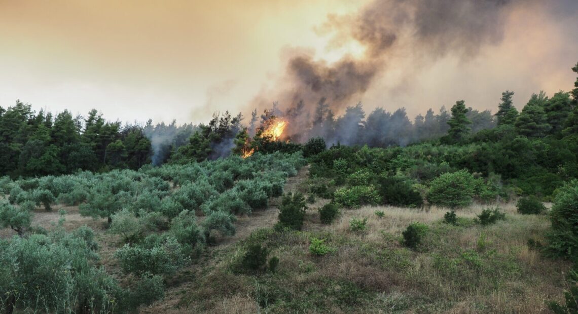 Υπό έλεγχο τέθηκε η φωτιά στην Εύβοια
