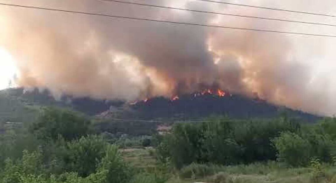 Έβρος: Στις παρυφές του εθνικού πάρκου Δαδιάς η φωτιά – Στη μάχη της κατάσβεσης και εναέρια μέσα