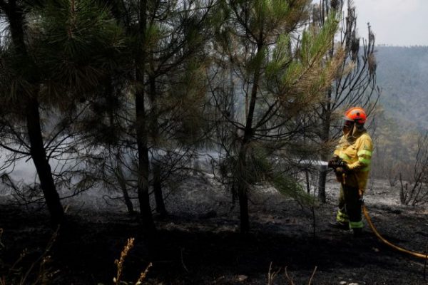 Κροατία: Στάχτη 33
