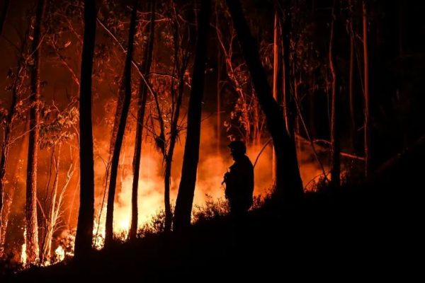 Πορτογαλία: Η χώρα αντιμέτωπη με κύμα καύσωνα και δασικές πυρκαγιές
