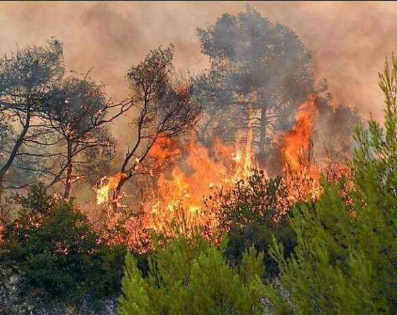 Συνολικά 51 δασικές πυρκαγιές το τελευταίο 24ωρο