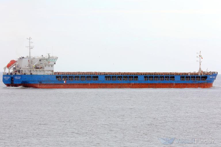 Τουρκία: Οι τελωνειακές αρχές κατάσχεσαν ένα ρωσικό πλοίο που μετέφερε σιτηρά από την Ουκρανία