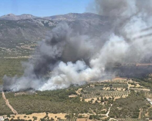 Φωτιά στα Μέγαρα: Μήνυμα από το 112 για εκκένωση του χωριού Ζάχουλη