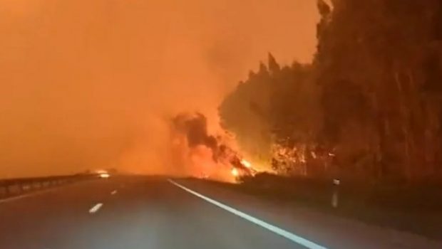 Φωτιά στην Πορτογαλία: Δείτε το συγκλονιστικό βίντεο δημοσιογράφου μέσα από τις φλόγες