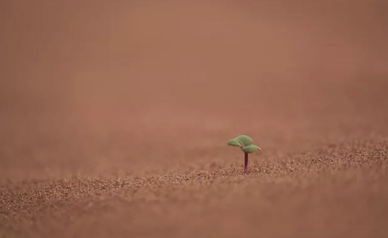 Κεντρική Ευρώπη: Aντιμέτωπη με τη μεγαλύτερη ξηρασία της τελευταίας χιλιετίας