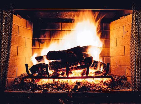 Dw: Στη Γερμανία μαζεύουν ξύλα για τον χειμώνα – Φόβοι για πλήρη διακοπή του φυσικού αερίου