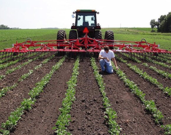 Έρευνα για τα τρόφιμα: «Ακραίος» κίνδυνος για το 71% της παραγωγής ως το 2045