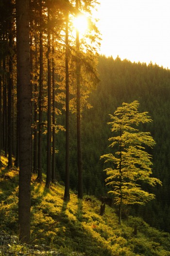 Αγνό και αναλλοίωτο νερό