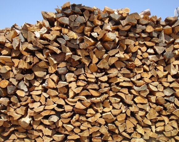 Καυσόξυλα: Τιμές με προσαύξηση 40% – Τι να προσέχουν οι καταναλωτές (vid)