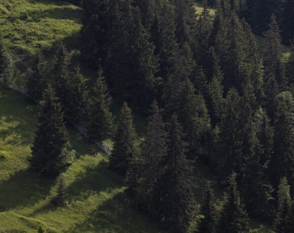 Συνέντευξη Γιάννη Βάλβη: «Έχουμε στα χέρια μας ένα θαύμα της Φύσης»