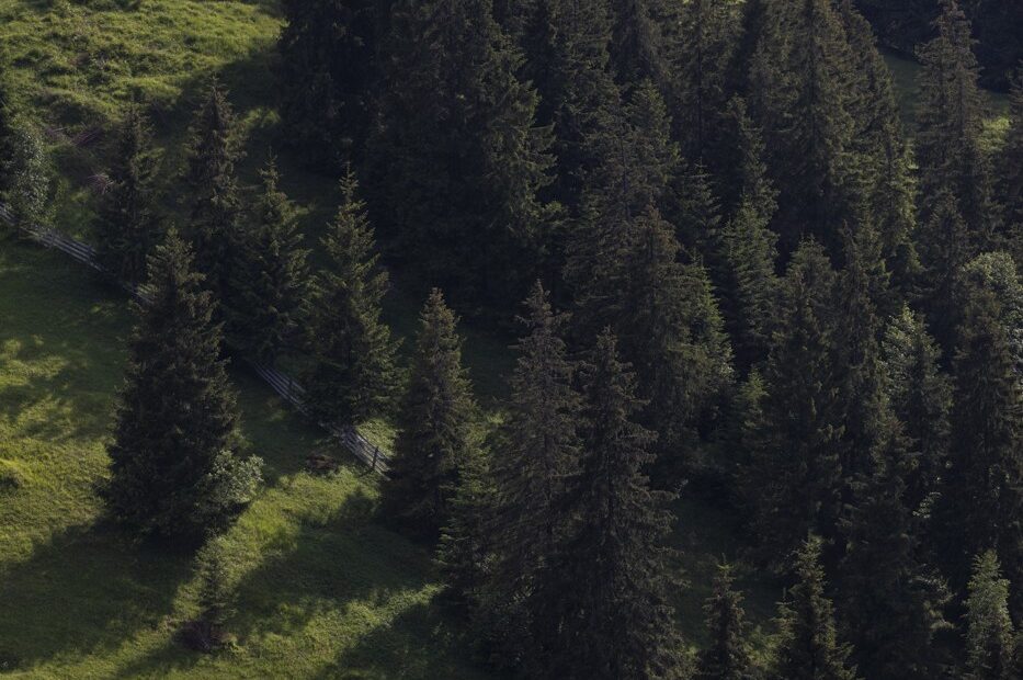 Συνέντευξη Γιάννη Βάλβη: «Έχουμε στα χέρια μας ένα θαύμα της Φύσης»