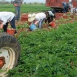 Αναπτυξιακός Νόμος: Ξεκινούν οι αιτήσεις υπαγωγής στο καθεστώς Αγροδιατροφής – Οι ενισχύσεις