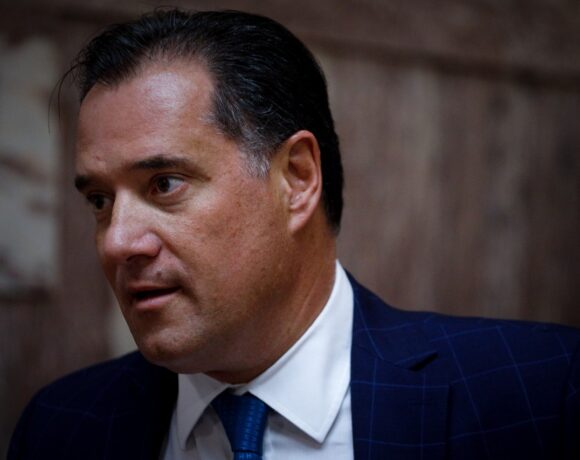 Γεωργιάδης: Οι βιομηχανίες μπορούν να δημιουργήσουν επιχειρηματικά πάρκα όπου θα είναι και χρήστες και διαχειριστές