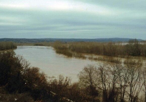Eικόνες σοκ στον Εβρο – 92 μετανάστες εγκαταλείφθηκαν γυμνοί από τις τουρκικές αρχές
