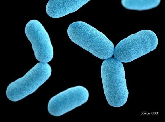 Αγγλία: Αύξηση των κρουσμάτων διφθερίτιδας