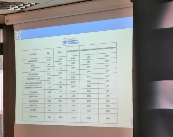 Καλάθι του νοικοκυριού: Στα 796,74 ευρώ τον χρόνο το κέρδος για τον καταναλωτή (pics + Vid)