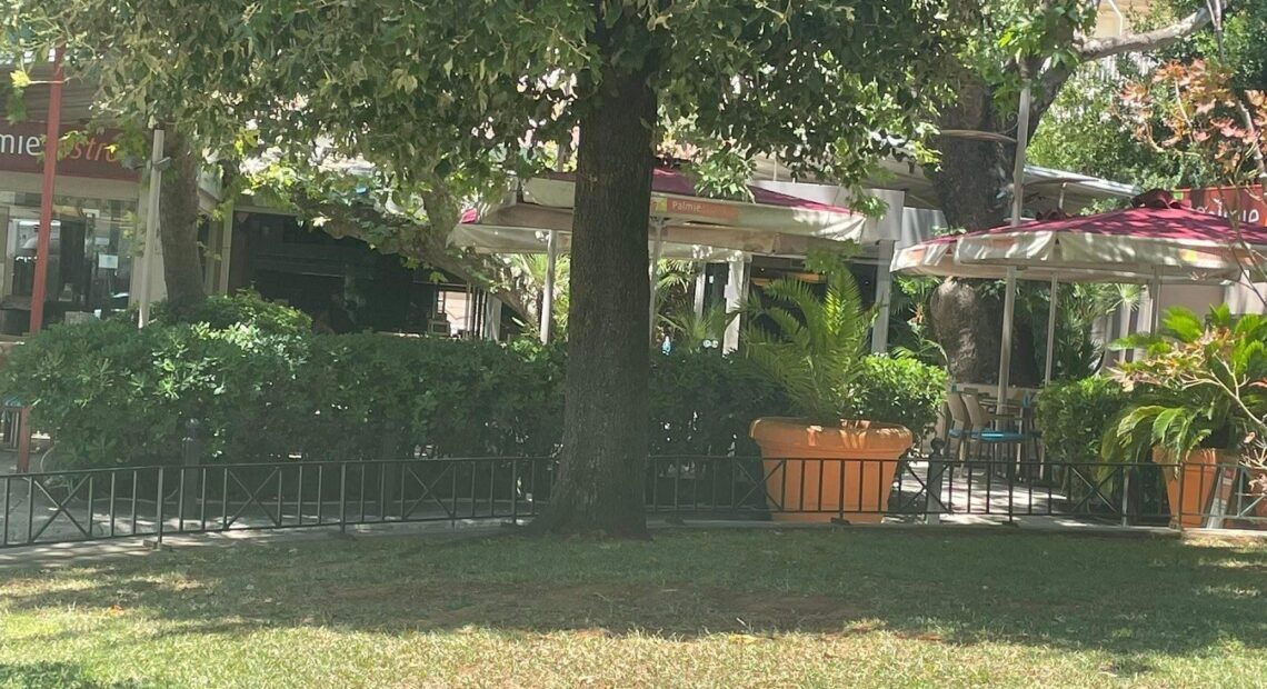 Οικογένεια Κουτρουλιά: Βγαίνει στο σφυρί το Palmie Bistro στο Κεφαλάρι (pics)