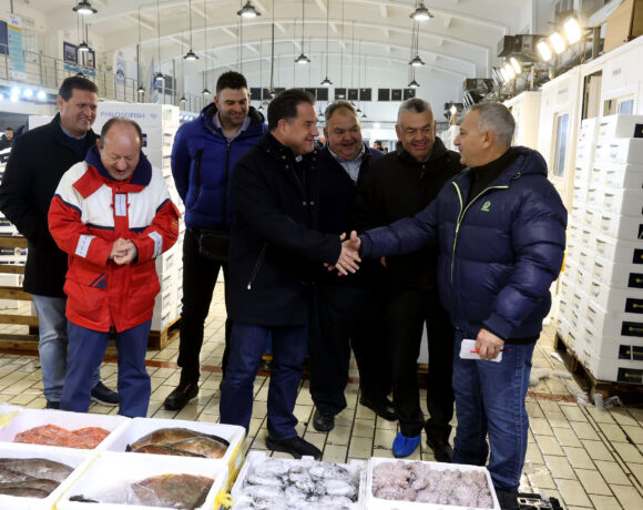 Γεωργιάδης: Nα συμβάλουμε στην ανταγωνιστική λειτουργία της ιχθυόσκαλας Κερατσινίου (vid)