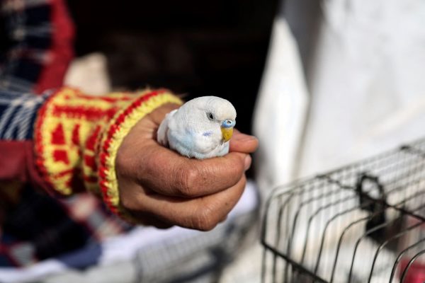 Ανοχύρωτοι άνθρωποι σε μια κατεστραμμένη χώρα θα μετρούν για χρόνια πληγές