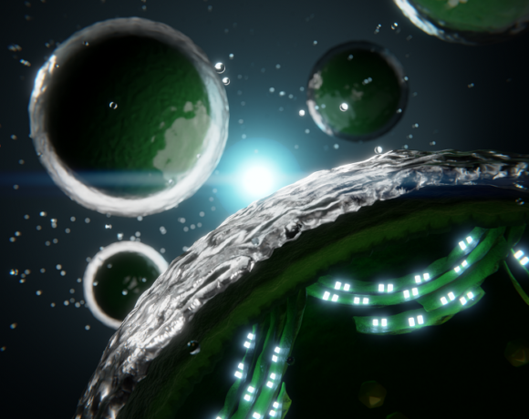 Φωτοσύνθεση: Η απρόσμενη πηγή που μπορεί να φέρει νέους τρόπους παραγωγής ενέργειας (pic)