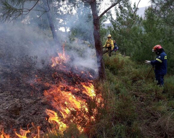P&g: Eνώνει τις δυνάμεις της με το Wwf Ελλάς για την πρόληψη των δασικών πυρκαγιών