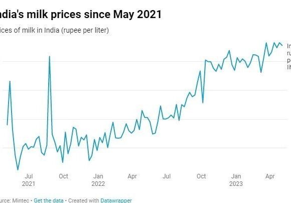 Ξεκίνησε ο «πόλεμος» τιμών και στο γάλα – Πού βλέπουν ήδη αυξήσεις 15%
