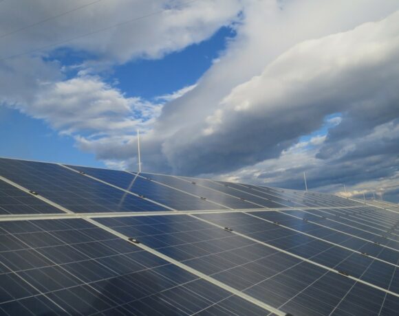 Παγκόσμια Ημέρα Περιβάλλοντος 2023: Με πυξίδα τη βιώσιμη ανάπτυξη η ΔΕΗ επενδύει σε ένα πράσινο, καλύτερο μέλλον (pics)