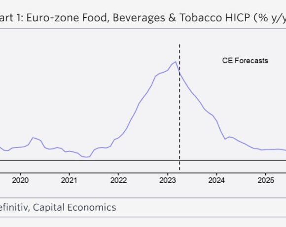 Capital Economics: Γιατί δεν θα πέσουν οι τιμές στα τρόφιμα (vid)