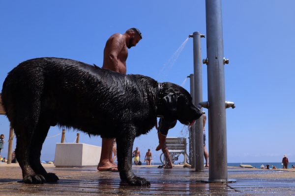 Καύσωνας: Από τον «Κέρβερο» στον «Χάροντα» – Η Ευρώπη «καίγεται»