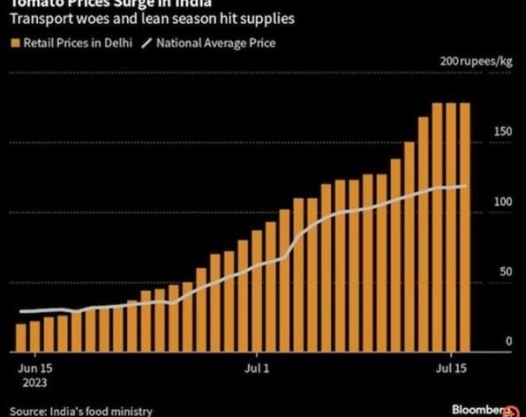 Σε ποια χώρα και γιατί η ντομάτα καταγράφει άλμα 700% στις τιμές της
