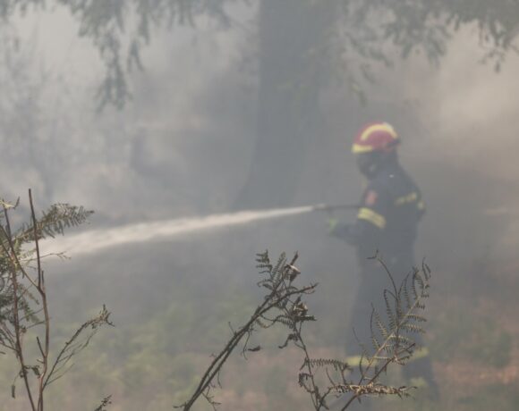 Συνεχείς αναζωπυρώσεις σε Κέρκυρα και Ρόδο – Εκκενώνονται Καλαμάκι και Απραός (pics + Vid)