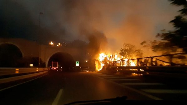 Φωτιές: Η Μεσόγειος φλέγεται – 9 χώρες της παλεύουν με τις πυρκαγιές και μετρούν θύματα και καταστροφές