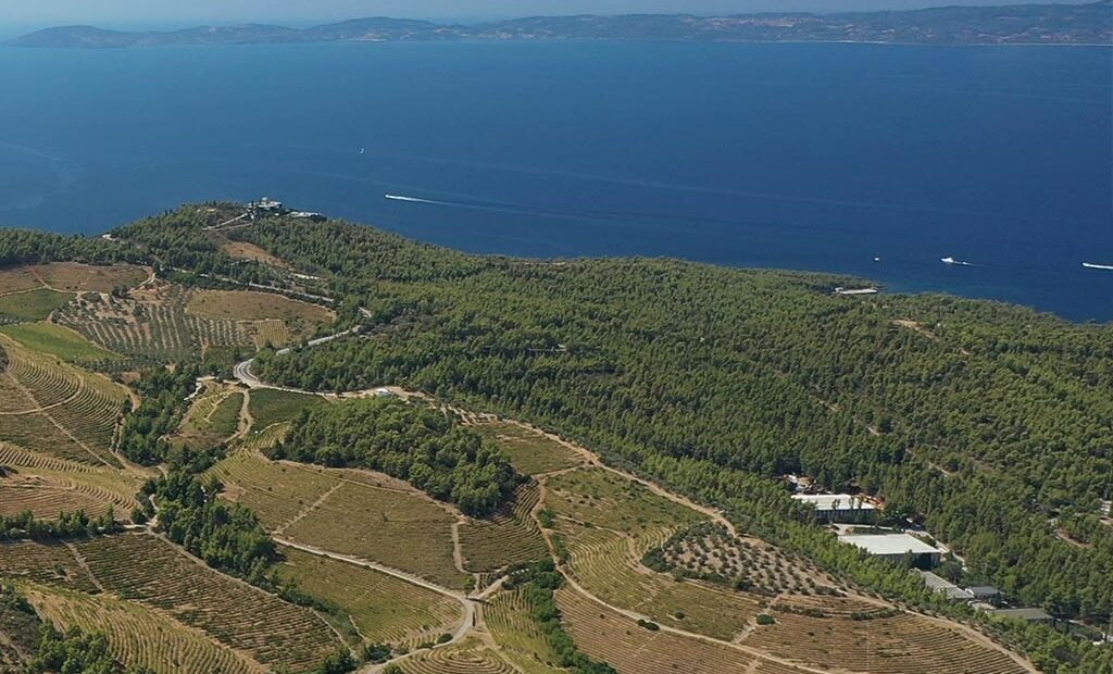 Κτήμα Πόρτο Καρράς: Πώς «θωρακίζεται» απέναντι στις πυρκαγιές (pics)