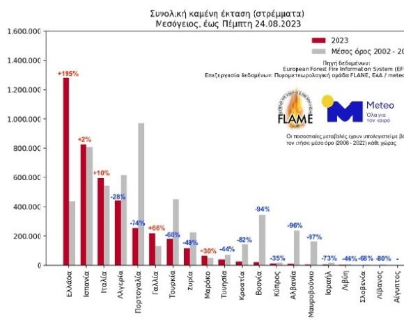 Το παράδοξο με τις φωτιές στην Ελλάδα – 52% λιγότερες μεγάλες δασικές πυρκαγιές και 195% αύξηση καμένων εκτάσεων (γραφήματα)