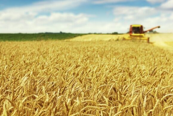 ΥΠΕΞ ΗΠΑ και Τουρκίας συζήτησαν τη συμφωνία για τα σιτηρά και τη διεύρυνση του ΝΑΤΟ