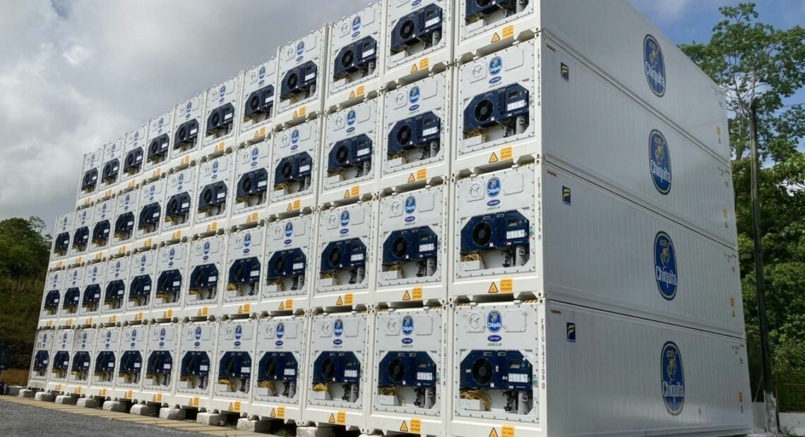 Η «great White Fleet» αυξάνει τις επενδύσεις στις μονάδες ψύξης εμπορευματοκιβωτίων