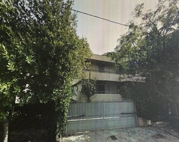 Οικογένεια Λιβάνη: Προσπαθεί να «σώσει» τη Φιλοθέη, χάνει την «Ελληνική Ρίζα» (pics)