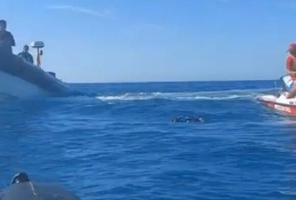 Τραγωδία στην Αλγερία: Νεκροί δύο Γαλλομαροκινοί τουρίστες – Τους σκότωσαν «κατά λάθος» συνοριοφύλακες