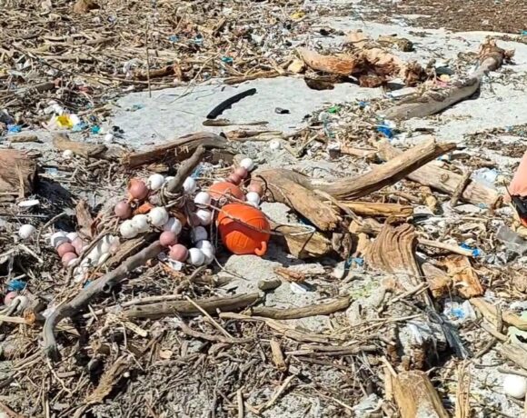 Typhoon Project: ο «Τυφώνας» που καθάρισε τις ακτές στο Πήλιο (pics)