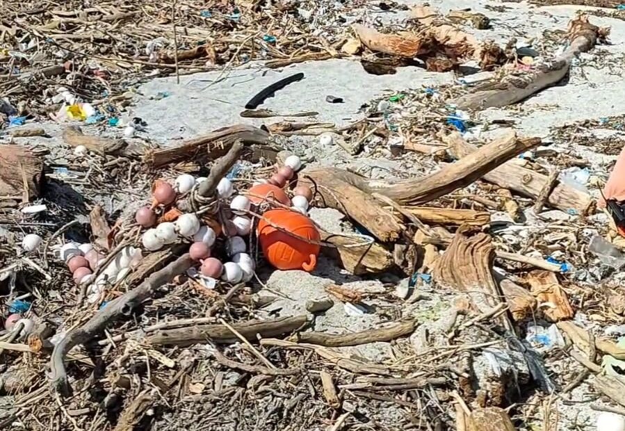 Typhoon Project: ο «Τυφώνας» που καθάρισε τις ακτές στο Πήλιο (pics)
